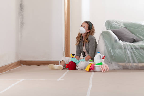 Reliable Bathroom Mold Removal contractor in Gaston, NC by Mold Remediation HQ